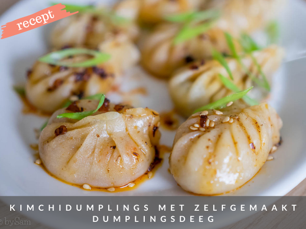 Dumplings maken recept